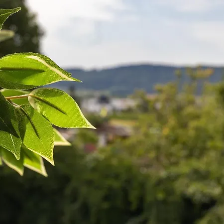 Hegau-refugium: Am Bodensee & Der Schweizer Grenze